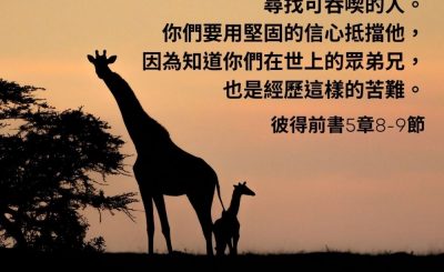 Soooradio 基督教廣播電台 每日 靜．聽．想 2023（033） - 彼得前書5章8-9節