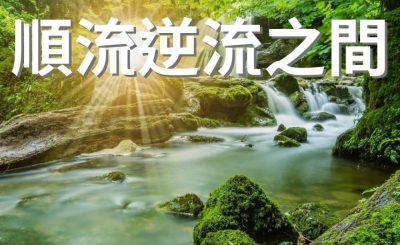 Soooradio 基督教廣播電台 逆境追光者（10）-順流逆流之間