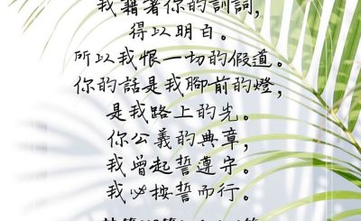 Soooradio 基督教廣播電台 每日 靜．聽．想 2023（105） - 詩篇119篇104-106節