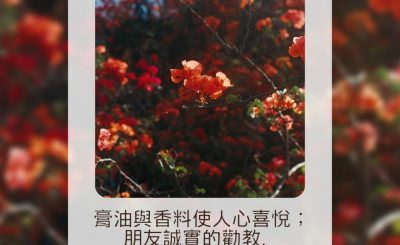 Soooradio 基督教廣播電台 每日 靜．聽．想 2023（126） - 箴言27章9節