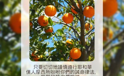 Soooradio 基督教廣播電台 每日 靜．聽．想 2023（129） - 約書亞記22章5節