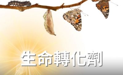 Soooradio 基督教廣播電台 逆境追光者（32）-生命轉化劑