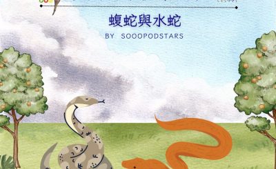 Soooradio 基督教廣播電台 從前有本伊索寓言（25）-蝮蛇與水蛇