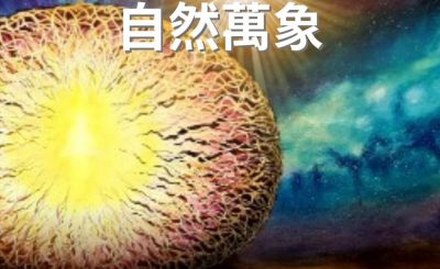 Soooradio 基督教廣播電台 逆境追光者（43）-上帝眼中的自然萬象