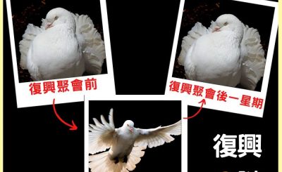 Soooradio 基督教廣播電台 信仰不像你預期IV（12）-復興の謎（下集）