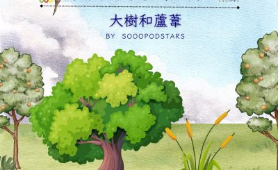 Soooradio 基督教廣播電台 從前有本伊索寓言（40）-大樹和蘆葦
