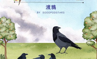 Soooradio 基督教廣播電台 從前有本伊索寓言（48）-渡鴉