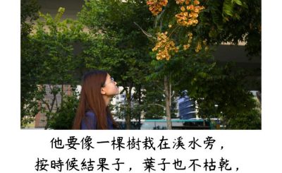 Soooradio 基督教廣播電台 每日 靜．聽．想 2023（164） - 詩篇1篇3節