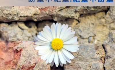 Soooradio 基督教廣播電台 信仰不像你預期V（08）-盼望中絕望·絕望中盼望（下集）