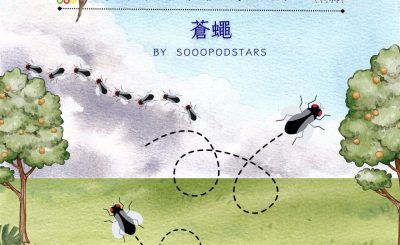 Soooradio 基督教廣播電台 從前有本伊索寓言（51）-蒼蠅
