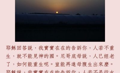 Soooradio 基督教廣播電台 每日 靜．聽．想 2023（217） - 約翰福音3章3-5節