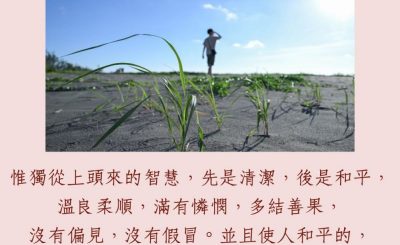 Soooradio 基督教廣播電台 每日 靜．聽．想 2023（226） - 雅各書3 章17-18節