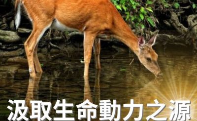 Soooradio 基督教廣播電台 逆境追光者（73）-汲取生命動力之源