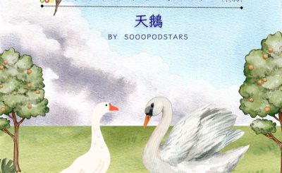 Soooradio 基督教廣播電台 從前有本伊索寓言（78）-天鵝