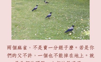 Soooradio 基督教廣播電台 每日 靜．聽．想 2023（237） - 馬太福音10章29-30節