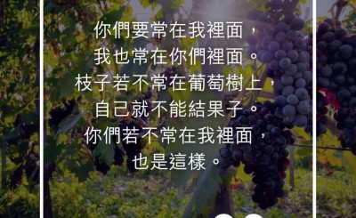 Soooradio 基督教廣播電台 每日 靜．聽．想 2023（273） - 約翰福音15章4節