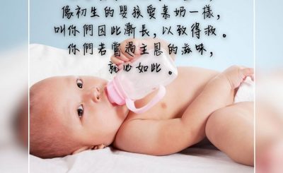 Soooradio 基督教廣播電台 每日 靜．聽．想 2023（277） - 彼得前書2章2-3節