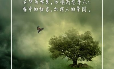 Soooradio 基督教廣播電台 每日 靜．聽．想 2023（289） - 箴言16章21節