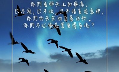 Soooradio 基督教廣播電台 每日 靜．聽．想 2023（304） - 馬太福音6章26節