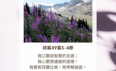 Soooradio 基督教廣播電台 每日 靜．聽．想 2023（308） - 詩篇49篇3-4節