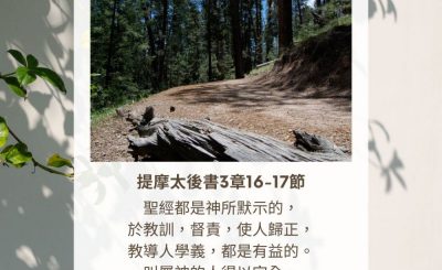 Soooradio 基督教廣播電台 每日 靜．聽．想 2023（309） - 提摩太後書3章16-17節