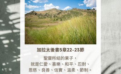 Soooradio 基督教廣播電台 每日 靜．聽．想 2023（312） - 加拉太後書5章22-23節