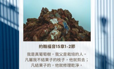 Soooradio 基督教廣播電台 每日 靜．聽．想 2023（313） - 約翰福音15章1-2節
