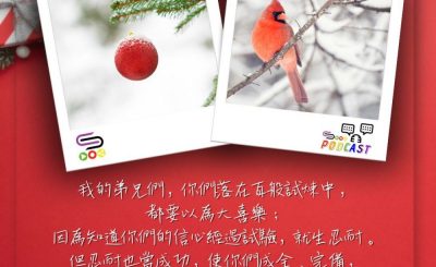 Soooradio 基督教廣播電台 每日 靜．聽．想 2023（336） - 雅各書1章2-4節