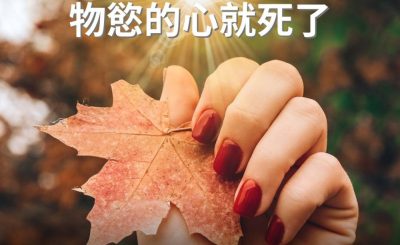 Soooradio 基督教廣播電台 逆境追光者（95）-領受恩典 物慾的心就死了