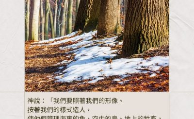 Soooradio 基督教廣播電台 每日 靜．聽．想 2024（005） - 好好管理世界