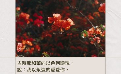 Soooradio 基督教廣播電台 每日 靜．聽．想 2024（013） - 神的愛不改變