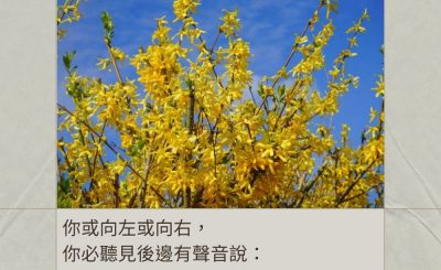 Soooradio 基督教廣播電台 每日 靜．聽．想 2024（014） - 神引領前路