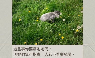 Soooradio 基督教廣播電台 每日 靜．聽．想 2024（016） - 看顧家人