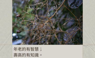 Soooradio 基督教廣播電台 每日 靜．聽．想 2024（018） - 學習能力不受限