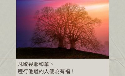 Soooradio 基督教廣播電台 每日 靜．聽．想 2024（020） - 遵行主道，便為有福！