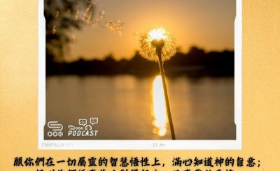 Soooradio 基督教廣播電台 每日 靜．聽．想 2024（048） - 凡事討神喜悅