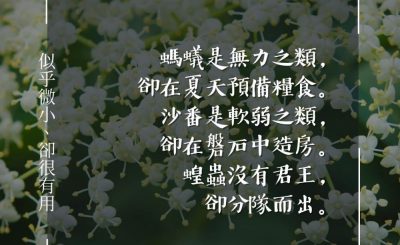 Soooradio 基督教廣播電台 每日 靜．聽．想 2024（061） - 似乎微小、卻很有用