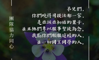 Soooradio 基督教廣播電台 每日 靜．聽．想 2024（067） - 團隊協力同心