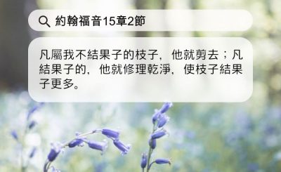 Soooradio 基督教廣播電台 每日 靜．聽．想 2024（097） - 神要修理，使果子更多