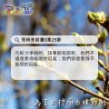 Soooradio 基督教廣播電台 每日 靜．聽．想 2024（113） - 為了目標而自律節制