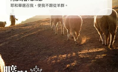 Soooradio 基督教廣播電台 曠野嗎哪（433） - 耶和華選召我，使我不跟從羊群。（阿摩司書7章15節）