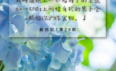 Soooradio 基督教廣播電台 每日 靜．聽．想 2024（154） - 神造萬物賜人享用