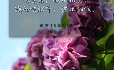 Soooradio 基督教廣播電台 每日 靜．聽．想 2024（162） - 家庭以愛為根基