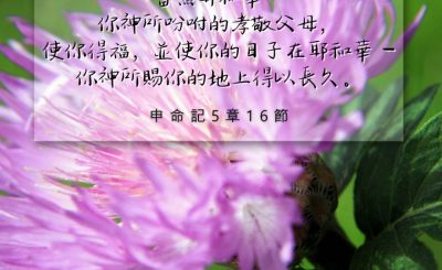 Soooradio 基督教廣播電台 每日 靜．聽．想 2024（170） - 當孝敬父母，使你得福