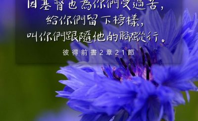 Soooradio 基督教廣播電台 每日 靜．聽．想 2024（173） - 跟主腳蹤步步安穩