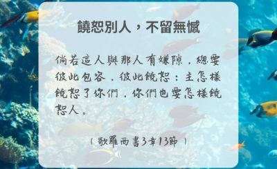 Soooradio 基督教廣播電台 每日 靜．聽．想 2024（291） - 饒恕別人，不留無憾