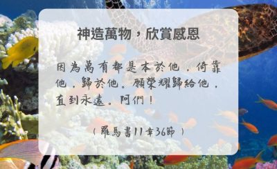 Soooradio 基督教廣播電台 每日 靜．聽．想 2024（295） - 神造萬物，欣賞感恩