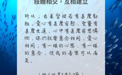 Soooradio 基督教廣播電台 每日 靜．聽．想 2024（296） - 肢體相交，互相建立