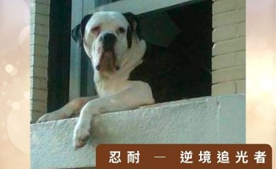 Soooradio 基督教廣播電台 逆境追光者之絢爛人生（40）-忍耐 — 逆境追光者不可輕忽的屬靈操練