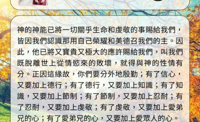 Soooradio 基督教廣播電台 每日 靜．聽．想 2024（323） - 逆境中操練生命成長